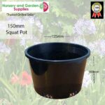 150mm Orchid Squat Pot