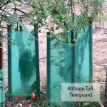 Treeguard 800mm