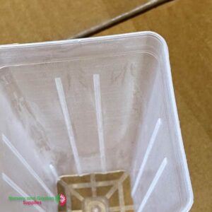 50mm Square Deep Tube CLEAR - Root trainers