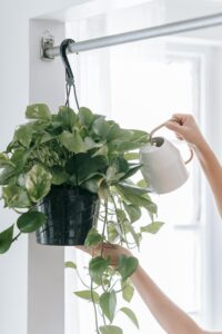 watering for hanging baskets