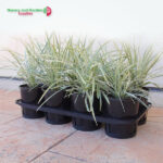 140mm Shuttle Carry Tray 8 cell