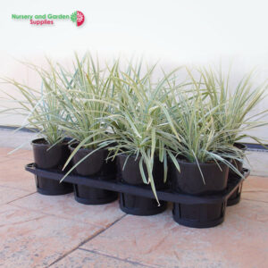 140mm Shuttle Carry Tray 8 cell