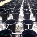 Small Wind Clip Plant Pot Support