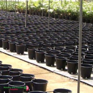 Small Wind Clip Plant Pot Support