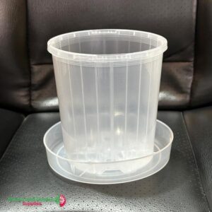 140mm Saucer with 125mm Pots Clear