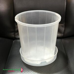140mm Saucer with 150mm Pots Clear