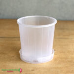 150mm Clear Pot with Saucer – Nursery Combo Pack