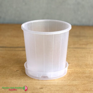 150mm Clear Pot with Saucer – Nursery Combo Pack