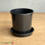 165mm Black Pot with Saucer – Nursery Combo Pack