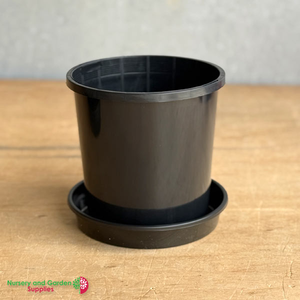 165mm-Pot-and-saucer-combo-1 165mm Black Pot with Saucer – Nursery Combo Pack