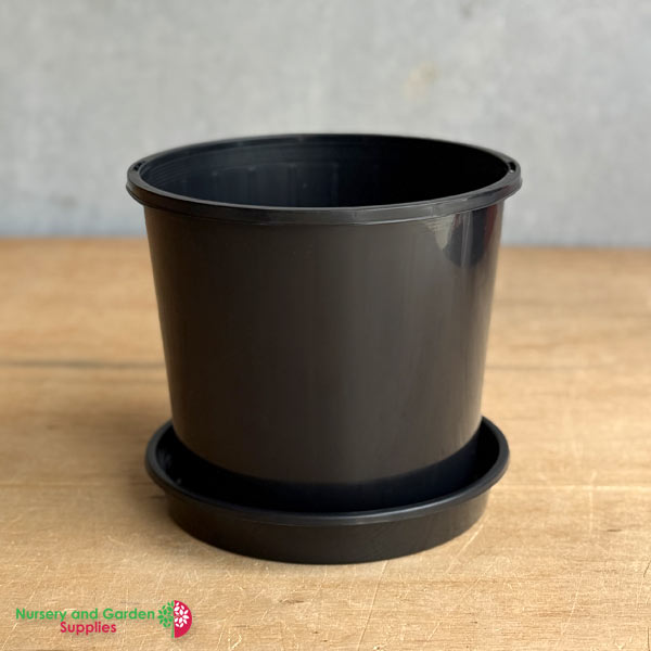 200mm-Pot-and-saucer-combo-1 200mm Black Pot with Saucer – Nursery Combo Pack